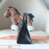 HERMES Birkin 20CM CK89 Noir Lizard Leather Silver Hardware
