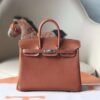 HERMES Faubourg Birkin 25CM Bag Gold Silver Hardware