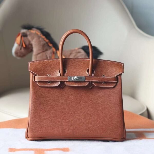 HERMES Faubourg Birkin 25CM Bag Gold Silver Hardware