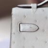 Hermes Kelly Pochette 22CM Ostrich Leather 3C Parchemin Gold Hardware
