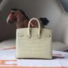 Hermes Birkin 20CM Y1 Vanille Matter Crocodile Leather Gold Hardware
