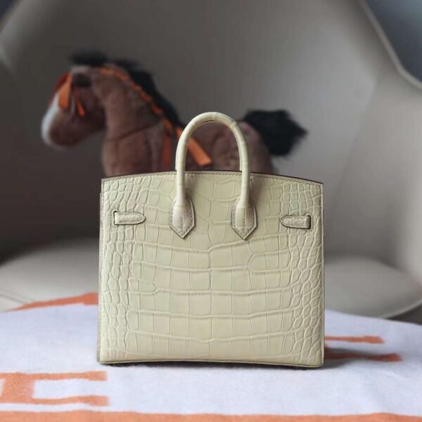 Hermes Birkin 20CM Y1 Vanille Matter Crocodile Leather Gold Hardware