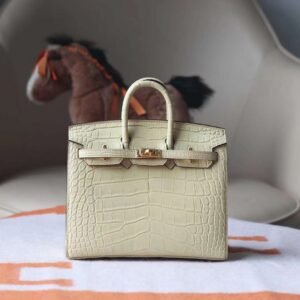 Hermes Birkin 20CM Y1 Vanille Matter Crocodile Leather Gold Hardware