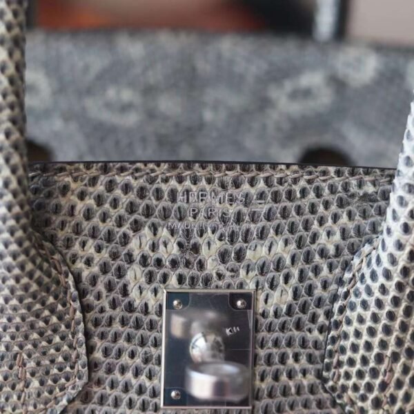 HERMES Birkin 25CM 1B Ombre Lizard Leather Brand new Silver Hardware