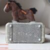 HERMES Birkin 25CM 1B Ombre Lizard Leather Brand new Silver Hardware