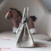 HERMES Birkin 25CM 1B Ombre Lizard Leather Brand new Silver Hardware