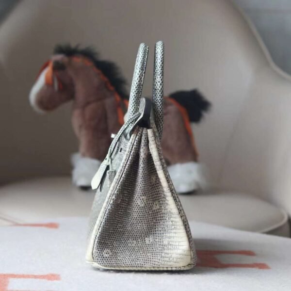 HERMES Birkin 25CM 1B Ombre Lizard Leather Brand new Silver Hardware