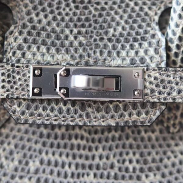 HERMES Birkin 25CM 1B Ombre Lizard Leather Brand new Silver Hardware