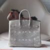 HERMES Birkin 25CM 1B Ombre Lizard Leather Brand new Silver Hardware