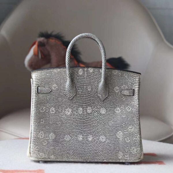 HERMES Birkin 25CM 1B Ombre Lizard Leather Brand new Silver Hardware