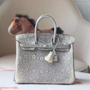 HERMES Birkin 25CM 1B Ombre Lizard Leather Brand new Silver Hardware