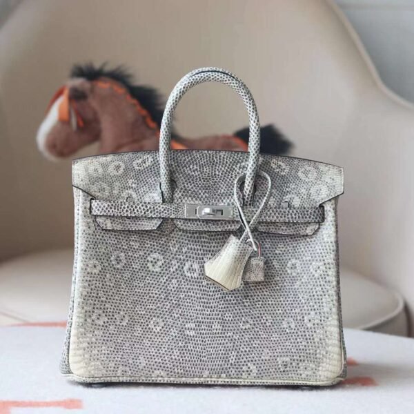 HERMES Birkin 25CM 1B Ombre Lizard Leather Brand new Silver Hardware