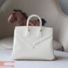 HERMES Birkin Shadow 25CM Swift Leather I2 Nata Stamp W