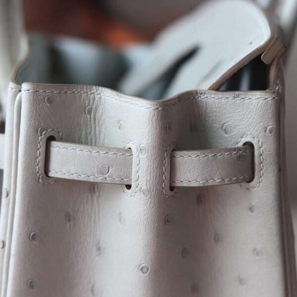 HERMES Birkin 25CM Bag 80 Pearl Grey Stamp W Ostrich Leather PHW