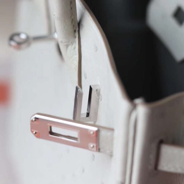 HERMES Birkin 25CM Bag 80 Pearl Grey Stamp W Ostrich Leather PHW