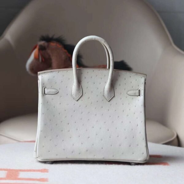 HERMES Birkin 25CM Bag 80 Pearl Grey Stamp W Ostrich Leather PHW