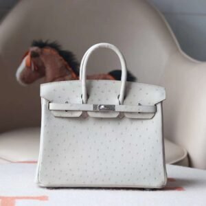 HERMES Birkin 25CM Bag 80 Pearl Grey Stamp W Ostrich Leather PHW