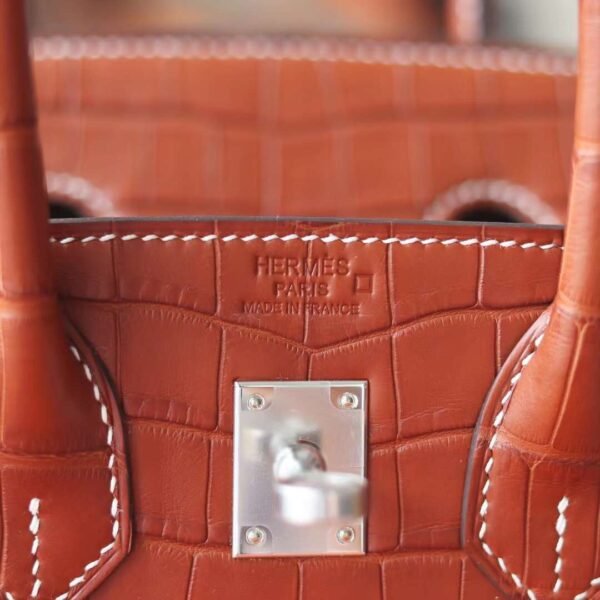 HERMES Birkin 25CM Stamp U 34 Fauve Matter Crocodile PHW