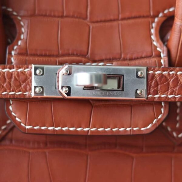 HERMES Birkin 25CM Stamp U 34 Fauve Matter Crocodile PHW