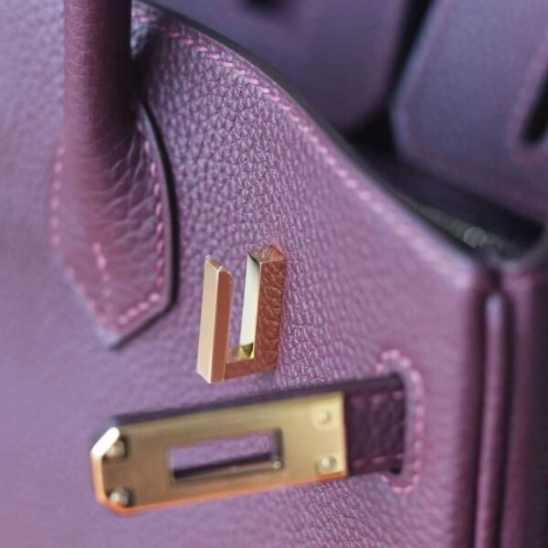 HERMES Birkin 25CM 57 Bordeaux Togo Leather GHW