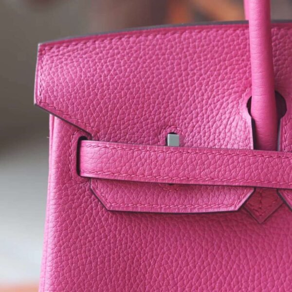 HERMES Birkin 25CM Togo Leather 9i Magnolia PHW Hardware
