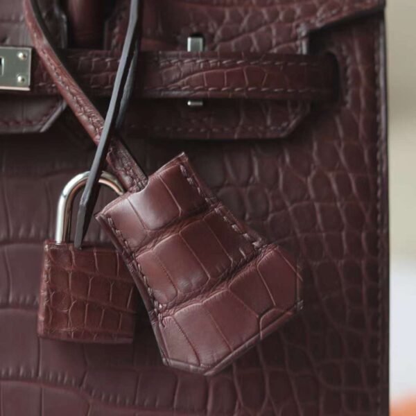 HERMES Birkin 20CM 41 Havane Matter Crocodile PHW Hardware