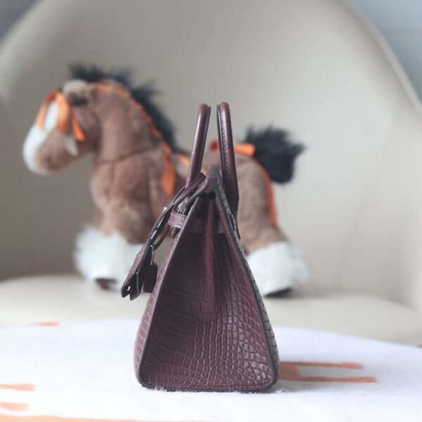 HERMES Birkin 20CM 41 Havane Matter Crocodile PHW Hardware