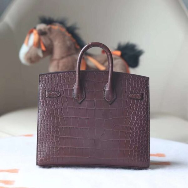 HERMES Birkin 20CM 41 Havane Matter Crocodile PHW Hardware