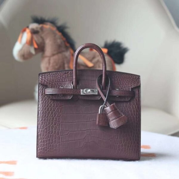 HERMES Birkin 20CM 41 Havane Matter Crocodile PHW Hardware