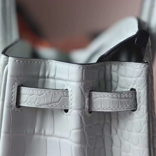 HERMES Birkin 25CM 0V Gris Ciment Matter Crocodile PHW Hardware