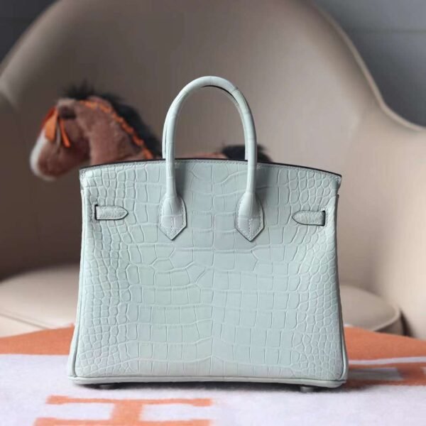 HERMES Birkin 25CM 0V Gris Ciment Matter Crocodile PHW Hardware