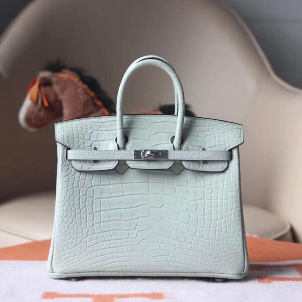 HERMES Birkin 25CM 0V Gris Ciment Matter Crocodile PHW Hardware