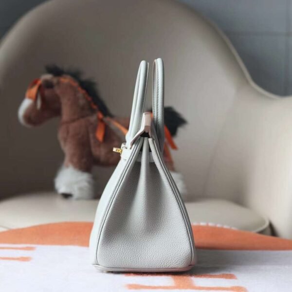 HERMES Birkin 25CM Bag Togo Leather 80 Pearl Grey GHW Hardware